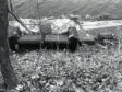bw 5 112x84 Photography