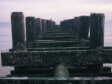 coneypipe 112x84 Photography
