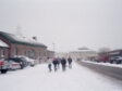 snow