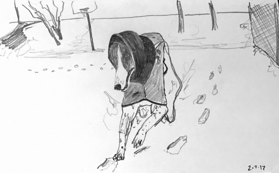 sketch of greyhound dog running in snow on basketball court